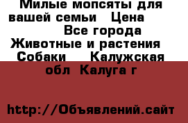 Милые мопсяты для вашей семьи › Цена ­ 20 000 - Все города Животные и растения » Собаки   . Калужская обл.,Калуга г.